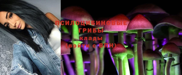 таблы Алексин