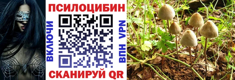 Галлюциногенные грибы Psilocybe  наркота  Зуевка 